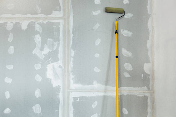 Professional Mold Removal in Cary, IL